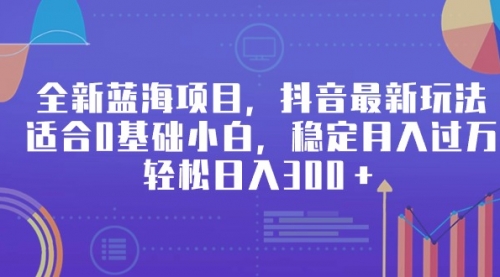 【9213】全新蓝海项目，抖音最新玩法，适合0基础小白，稳定月入过万，轻松日入300＋