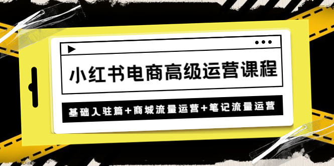 【4779】小红书电商高级运营课程：基础入驻篇+商城流量运营+笔记流量运营