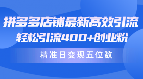 【9884】拼多多店铺最新高效引流术，轻松引流400+创业粉，精准日变现五位数！