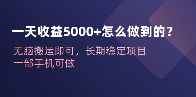 【6440】一天收益5000+怎么做到的？无脑搬运即可，长稳定项目，一部手机可做