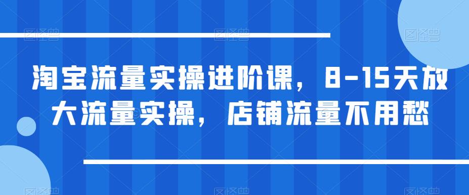 【6315】淘宝流量实操进阶课，8-15天放大流量实操，店铺流量不用愁