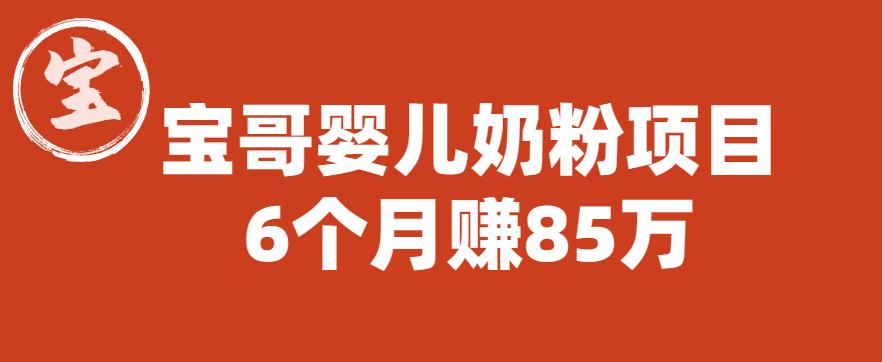 【6316】宝哥婴儿奶粉项目，6个月赚85w【图文非视频】【揭秘】