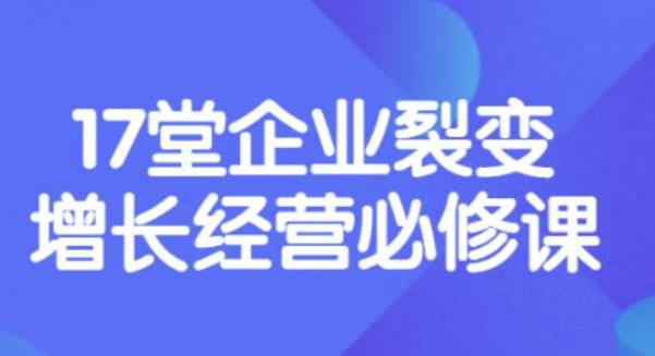 【3738】张琦《盈利增长17堂必修课》企业裂变增长的经营智慧，带你了解增长的本质