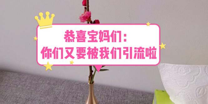 【5818】恭喜宝妈们：你们又要被我们引流了（教程+222g资料）