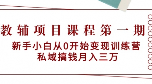 【9226】教辅项目课程一：新手小白从0开始变现训练营 私域搞钱月入三万