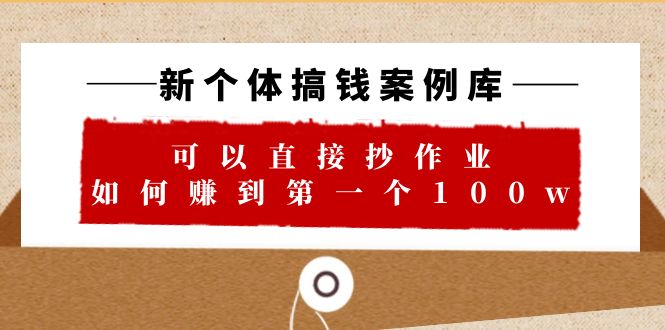 【6352】新个体 搞钱案例 库，可以直接抄作业 如何赚到一个100w（29节视频+文档）