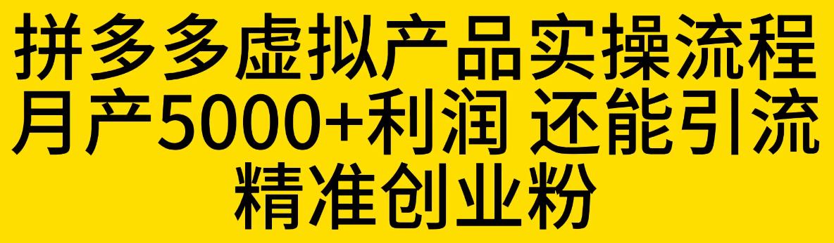 【6469】拼多多虚拟产品实操流程，月产5000+利润，还能引流精准创业粉