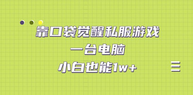 【7148】靠口袋觉醒私服游戏，一台电脑，小白也能1w+（教程+工具+资料）