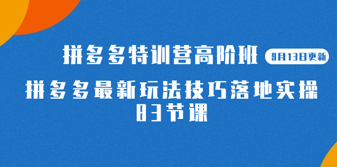 【7370】2023拼多多·特训营高阶班【9月13日更新】拼多多最新玩法技巧落地实操-83节