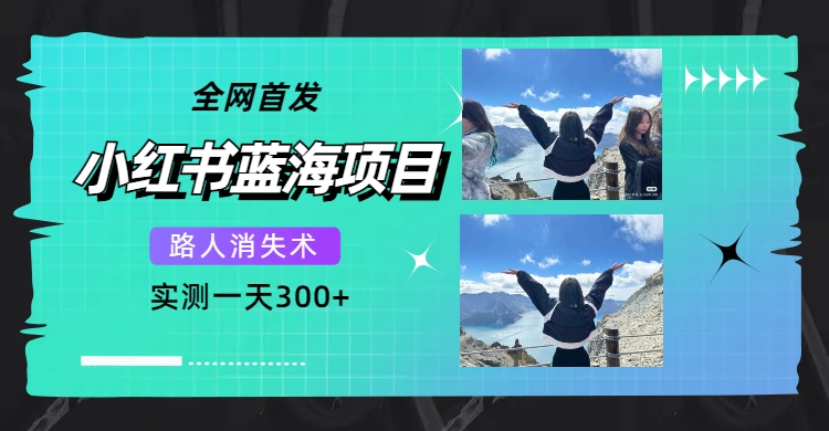 【7650】全网首发，小红书蓝海项目，路人消失术，实测一天300+（教程+工具）