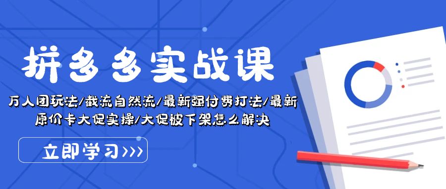 【10516】拼多多·实战课：万人团玩法/截流自然流/最新强付费打法/