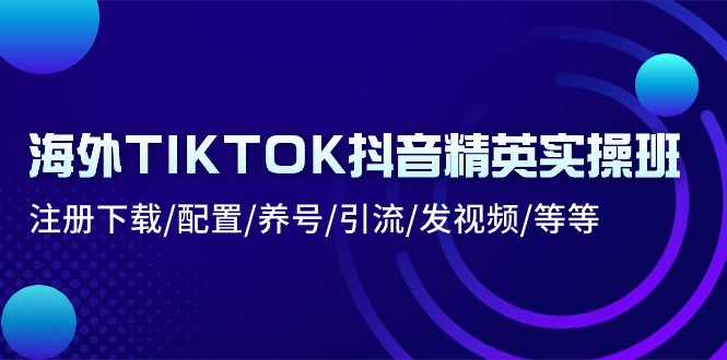 【10602】海外TIKTOK抖音精英实操班：注册下载/配置/养号/引流/发视频/等等