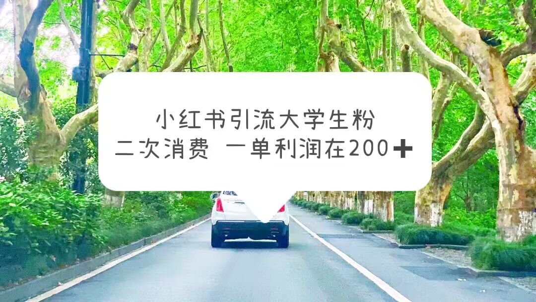 【5837】小红书引流大学生粉，变现项目，一单利润在200+（教程+资源）