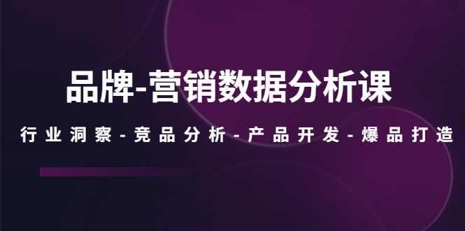 【5544】品牌-营销数据分析课，行业洞察-竞品分析-产品开发-爆品打造