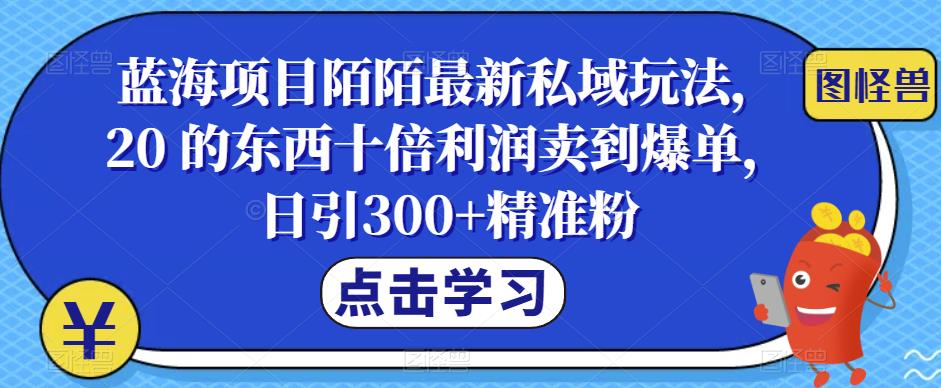 【6599】蓝海项目陌陌最新私域玩法，20 的东西十倍利润卖到爆单，日引300+精准粉【揭秘】