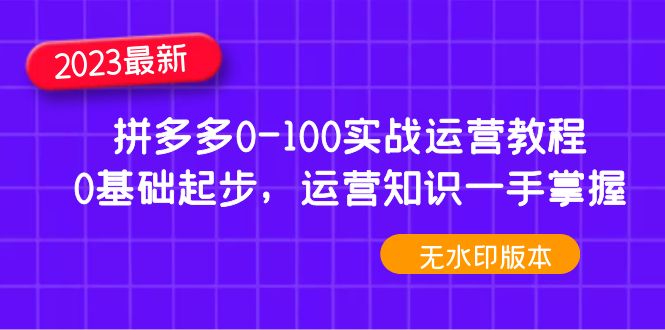 【4948】2023拼多多0-100实战运营教程，0基础起步，运营知识一手掌握