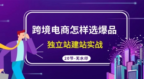 【9335】跨境电商怎样选爆品，独立站建站实战