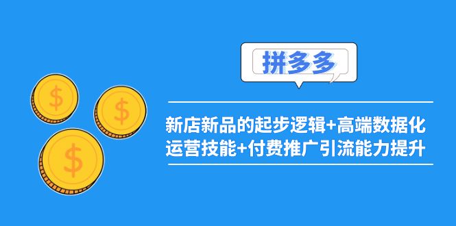 【4081】2022拼多多：新店新品的起步逻辑+高端数据化运营技能+付费推广引流能力提升