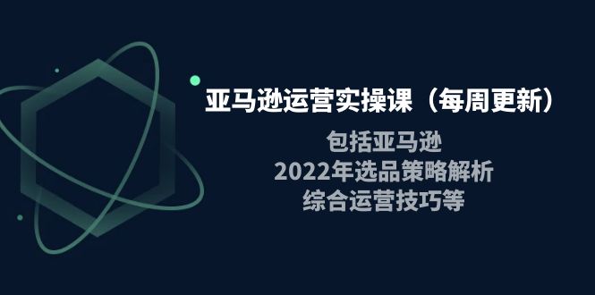 【4184】亚马逊运营实操课（每周更新）包括亚马逊2022选品策略解析，综合运营技巧等