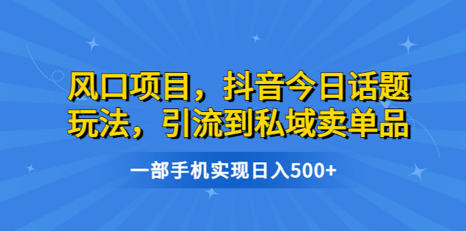 【6691】风口项目，抖音今日话题玩法，引流到私域卖单品，一部手机实现日入500+