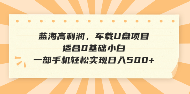 【6700】蓝海高利润，车载U盘项目，适合0基础小白，一部手机轻松实现日入500+