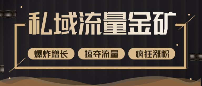 【2307】价值2200元私域流量的金矿，循环获取各大媒体精准流量，无限复制网红的精准流量！