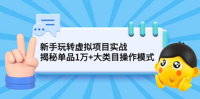 【2600】新手玩转虚拟项目实战，揭秘单品1万+大类目操作模式