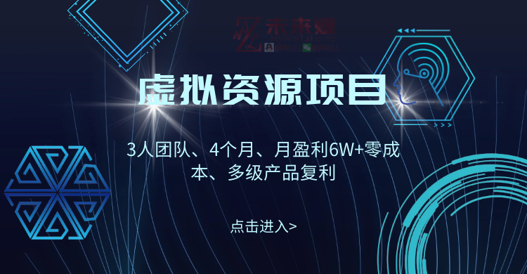 【2608】虚拟资源项目-新手、高客单价、多产品复利（完结）