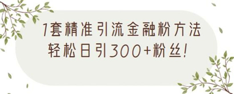 【2619】1套精准引流金融粉方法，轻松日引300+粉丝