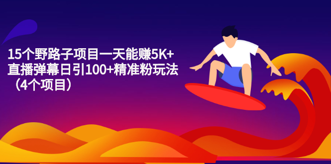 【2680】15个野路子项目一天能赚5K+直播弹幕日引100+精准粉玩法（4个项目）