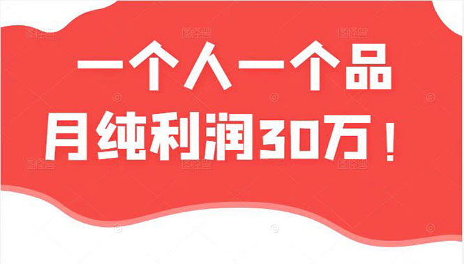 【2810】某公众号付费文章：一个人一个品月纯利润30万的蓝海电商经典案例！