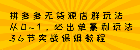 【2816】拼多多无货源店群：从0~1，必出单10单利润1000+暴利玩法，36节实战保姆教程