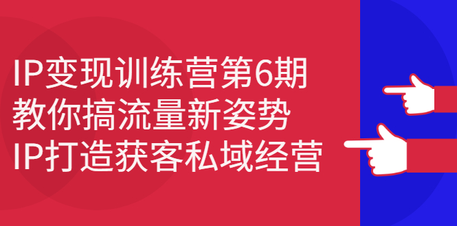 【2818】IP变现训练营6：教你搞流量新姿势，IP打造获客私域经营