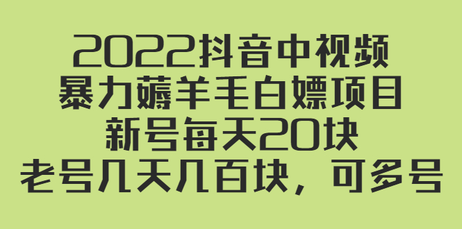 【2869】2022抖音中视频暴力薅羊毛白嫖项目：新号每天20块，老号几天几百块，可多号