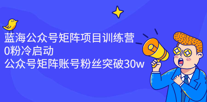 【2872】蓝海公众号矩阵项目训练营，0粉冷启动，公众号矩阵账号粉丝突破30w