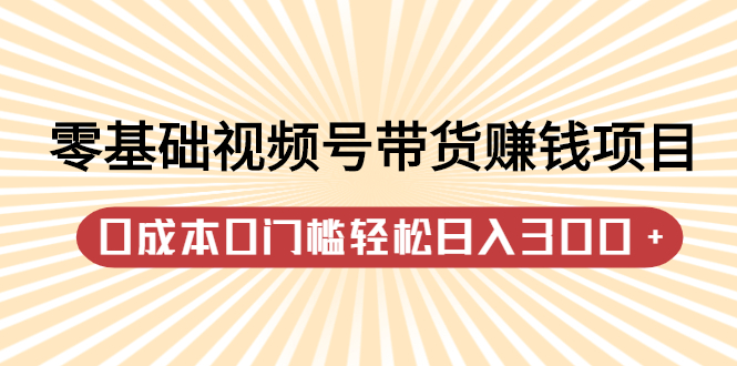 【2881】零基础视频号带货赚钱项目，0成本0门槛轻松日入300+【视频教程】