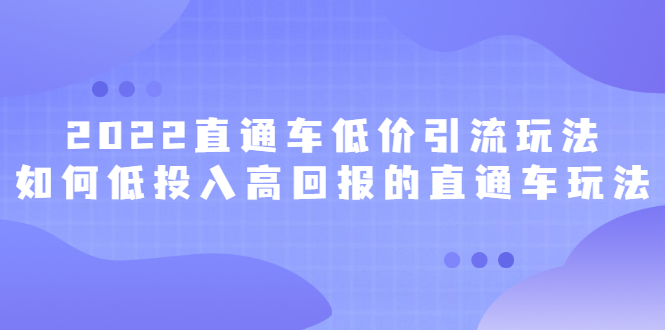 【2882】2022直通车低价引流玩法，教大家如何低投入高回报的直通车玩法