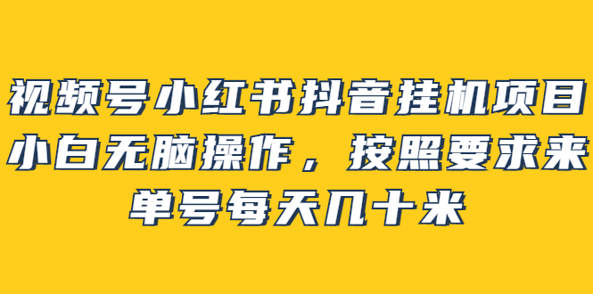 【2904】视频号小红书抖音挂机项目，小白无脑操作，按照要求来，单号每天几十米