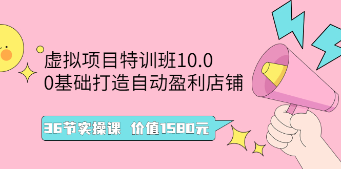 【2960】虚拟项目特训班10.0，0基础打造自动盈利店铺 36节实操课 价值1580元