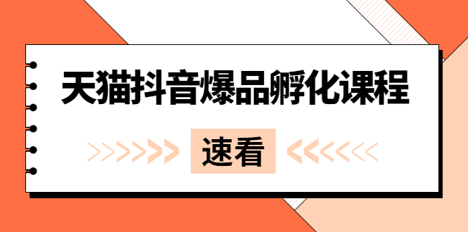 【2991】《天猫抖音爆品孵化课程》独家绝密新品引爆法