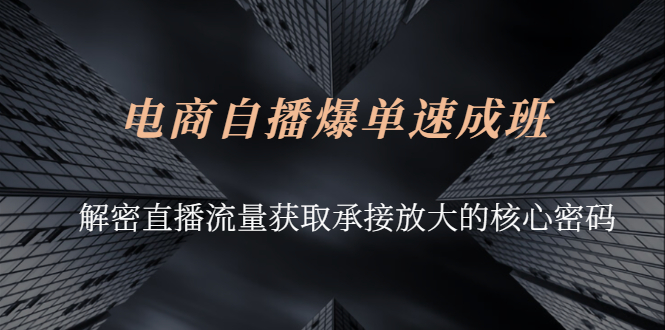 【3054】电商自播爆单速成班：解密直播流量获取承接放大的核心密码