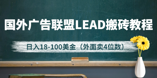 【3085】外面卖4位数的国外广告联盟LEAD搬砖教程，日入18-100美金（教程+软件）