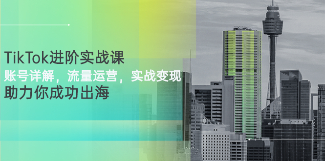 【3207】TikTok进阶实战课：账号详解，流量运营，实战变现，助力你成功出海