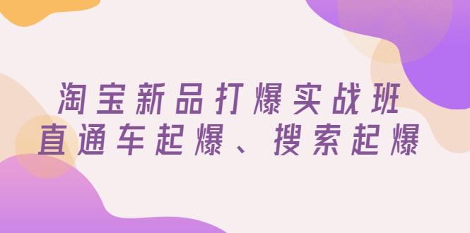 【3272】淘宝新品打爆实战班，直通车起爆、搜索起爆（价值599元）