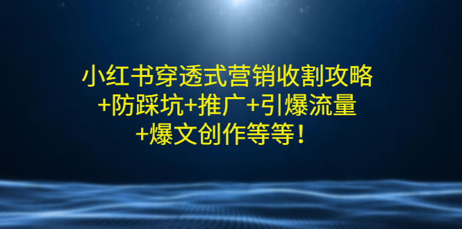 【3358】小红书穿透式营销收割攻略+防踩坑+推广+引爆流量+爆文创作等等