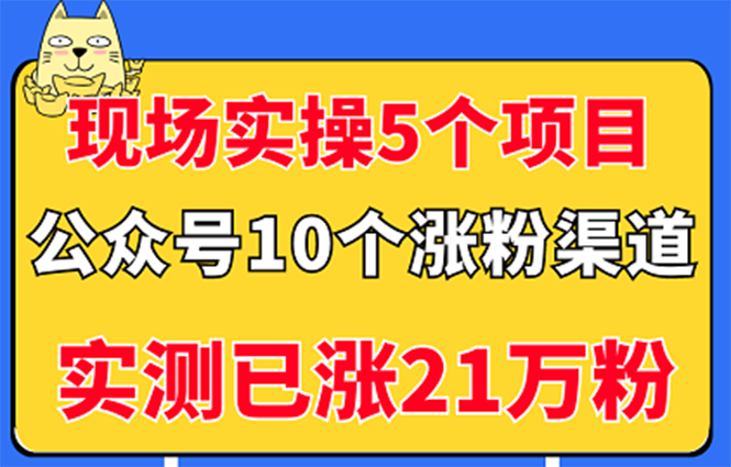 【3390】现场实操5个公众号项目，10个涨粉渠道，实测已涨21万粉