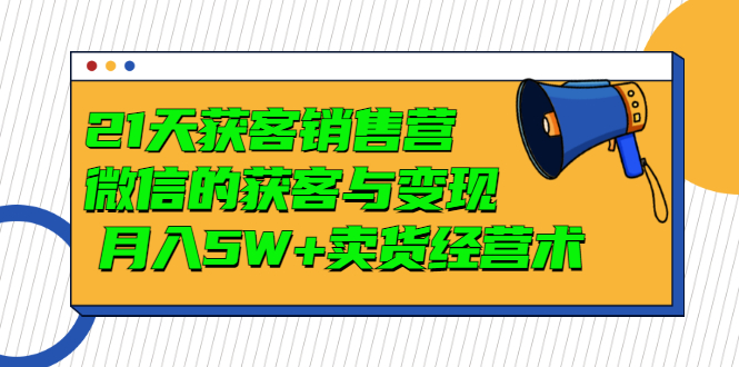 【3430】21天获客销售营，带你破解微信的获客与变现 月入5W+卖货经营术