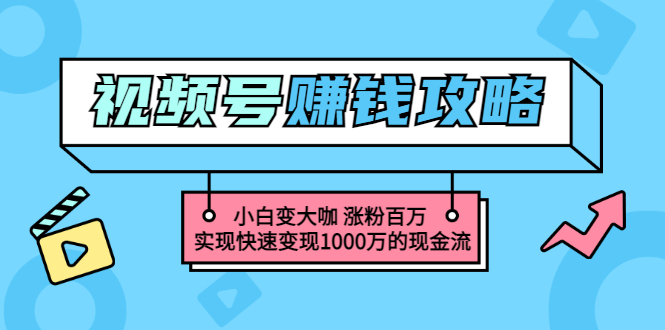 【3449】玩转微信视频号赚钱：小白变大咖 涨粉百万 实现快速变现1000万的现金流