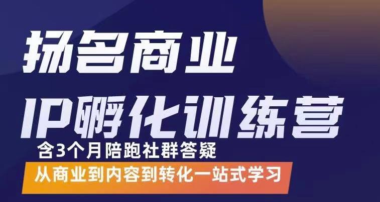 【3480】商业IP孵化训练营，从商业到内容到转化一站式学 价值5980元