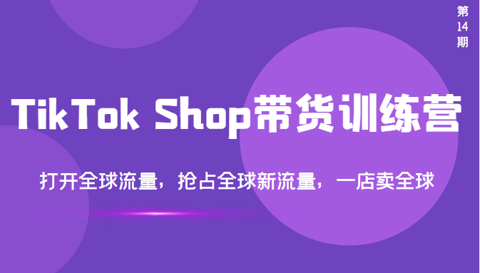 【3695】TikTok Shop带货训练营，打开全球流量，抢占全球新流量 一店卖全球(14)